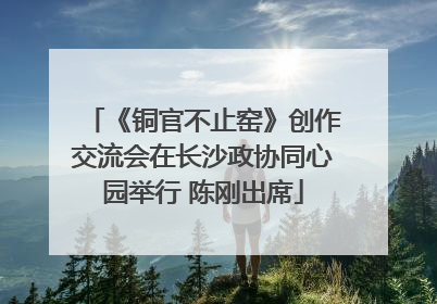 《铜官不止窑》创作交流会在长沙政协同心园举行 陈刚出席